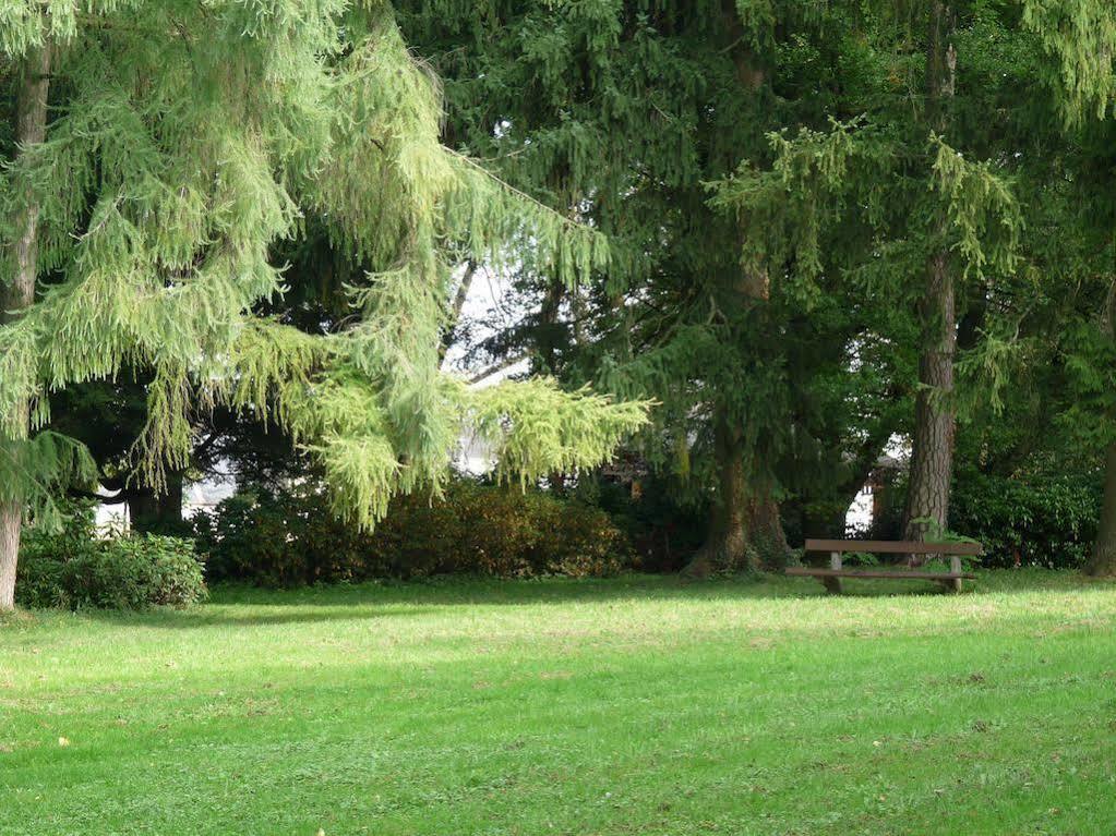 Parkhotel Zur Klause Bad Hall Exterior foto